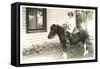 Girl on Pony-null-Framed Stretched Canvas