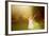 Girl Playing in the Sun-Elena Efimova-Framed Photographic Print