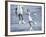 Girl Playing Tennis Under Supervision of a Coach-null-Framed Photographic Print