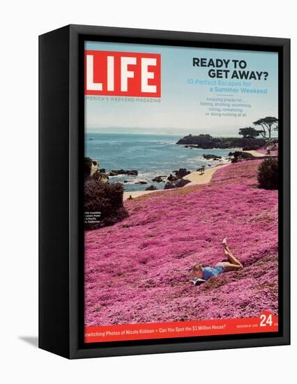 Girl Reading a Book on "Pink Magic Carpet" at Lovers Point Park, Pacific Grove, CA, June 24, 2005-Greg Miller-Framed Stretched Canvas