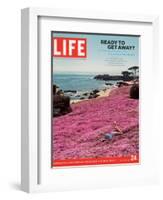 Girl Reading a Book on "Pink Magic Carpet" at Lovers Point Park, Pacific Grove, CA, June 24, 2005-Greg Miller-Framed Photographic Print