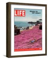 Girl Reading a Book on "Pink Magic Carpet" at Lovers Point Park, Pacific Grove, CA, June 24, 2005-Greg Miller-Framed Photographic Print