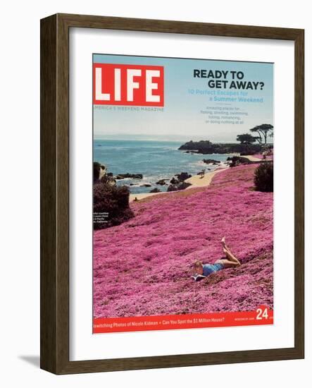 Girl Reading a Book on "Pink Magic Carpet" at Lovers Point Park, Pacific Grove, CA, June 24, 2005-Greg Miller-Framed Photographic Print