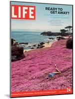 Girl Reading a Book on "Pink Magic Carpet" at Lovers Point Park, Pacific Grove, CA, June 24, 2005-Greg Miller-Mounted Photographic Print