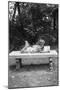 Girl Reading on Bench-Philip Gendreau-Mounted Photographic Print