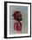 Girl Red-Michael Jackson-Framed Giclee Print