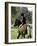 Girl Riding on a Pony-null-Framed Photographic Print