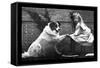 Girl Shaking Hands with Dog-null-Framed Stretched Canvas