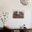 Girl Sits Alone in Her Class Room During a Break in Aftabachi School in Eastern Afghanistan-null-Photographic Print displayed on a wall