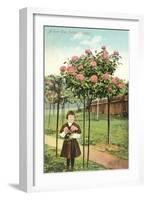 Girl Standing by Rose Trees, Portland, Oregon-null-Framed Art Print