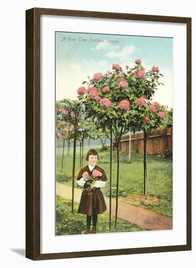 Girl Standing by Rose Trees, Portland, Oregon-null-Framed Art Print