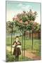 Girl Standing by Rose Trees, Portland, Oregon-null-Mounted Art Print
