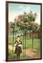 Girl Standing by Rose Trees, Portland, Oregon-null-Framed Art Print