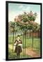 Girl Standing by Rose Trees, Portland, Oregon-null-Framed Art Print