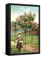 Girl Standing by Rose Trees, Portland, Oregon-null-Framed Stretched Canvas