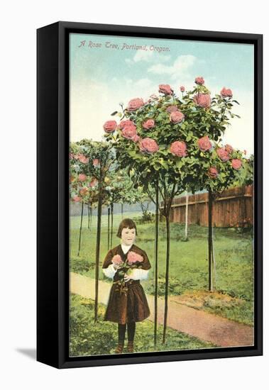 Girl Standing by Rose Trees, Portland, Oregon-null-Framed Stretched Canvas