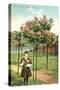 Girl Standing by Rose Trees, Portland, Oregon-null-Stretched Canvas