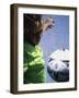 Girl Standing in a Goal Looking at a Soccer Ball-null-Framed Photographic Print