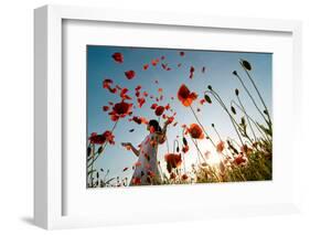 Girl Stands in Poppy Field-ongap-Framed Photographic Print