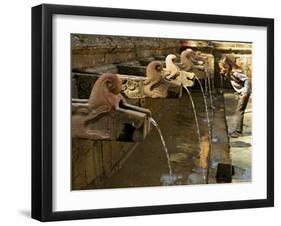 Girl Takes a Drink from the Water Spouts in a Temple Courtyard at Godavari in the Kathmandu Valley-Don Smith-Framed Photographic Print