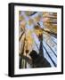 Girl Throws Leaves in the Air to Celebrate Autumn, Vashon Island, Washington State-Aaron McCoy-Framed Photographic Print