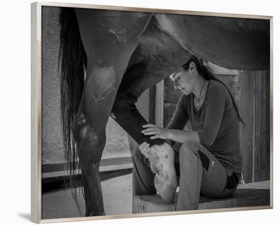 Girl Treats Horse-null-Framed Art Print