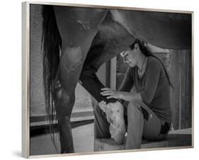 Girl Treats Horse-null-Framed Art Print