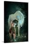 Girl Unicorn and Fireflies  -null-Stretched Canvas