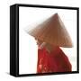 Girl Wearing Ao Dai Dress, Hanoi, Vietnam-Jon Arnold-Framed Stretched Canvas