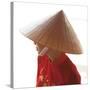 Girl Wearing Ao Dai Dress, Hanoi, Vietnam-Jon Arnold-Stretched Canvas