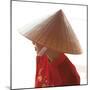 Girl Wearing Ao Dai Dress, Hanoi, Vietnam-Jon Arnold-Mounted Photographic Print