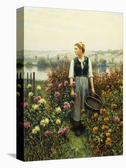 Girl with a Basket in a Garden-Daniel Ridgway Knight-Stretched Canvas