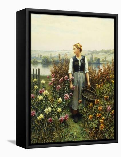Girl with a Basket in a Garden-Daniel Ridgway Knight-Framed Stretched Canvas