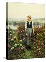 Girl with a Basket in a Garden-Daniel Ridgway Knight-Stretched Canvas