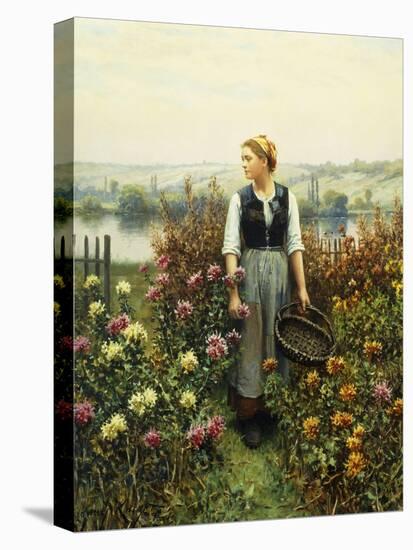 Girl with a Basket in a Garden-Daniel Ridgway Knight-Stretched Canvas