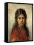 Girl with a Red Shawl-Alexei Alexevich Harlamoff-Framed Stretched Canvas