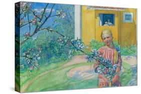 Girl with Apple Blossom, 1914-Carl Larsson-Stretched Canvas