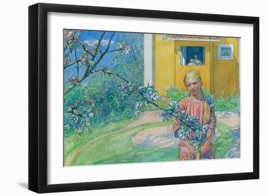 Girl with Apple Blossom, 1914-Carl Larsson-Framed Giclee Print