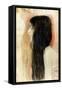 Girl with Long Hair, 1898-99-Gustav Klimt-Framed Stretched Canvas