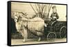 Girl with Ringlets in Goat Cart-null-Framed Stretched Canvas