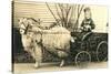 Girl with Ringlets in Goat Cart-null-Stretched Canvas