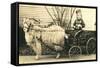 Girl with Ringlets in Goat Cart-null-Framed Stretched Canvas