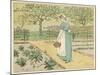 Girl Working in a Rural Kitchen Garden Collecting Cabbages-Randolph Caldecott-Mounted Art Print