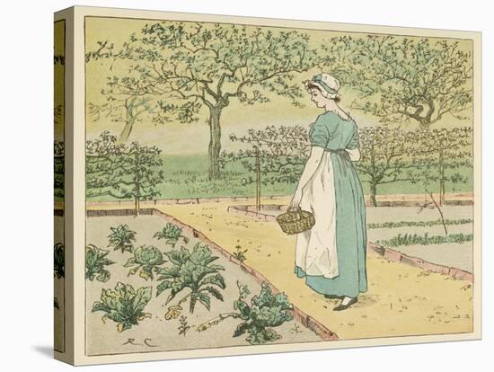 Girl Working in a Rural Kitchen Garden Collecting Cabbages-Randolph Caldecott-Stretched Canvas