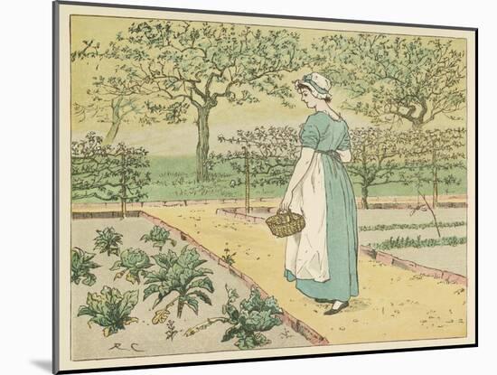 Girl Working in a Rural Kitchen Garden Collecting Cabbages-Randolph Caldecott-Mounted Art Print