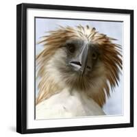 Girlie-null-Framed Photographic Print