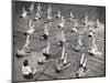 Girls and Women Doing Leg Exercise on Floor of Metropolitan Life Insurance Company's Gym-Herbert Gehr-Mounted Premium Photographic Print