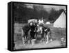 Girls Camping 1930S-null-Framed Stretched Canvas