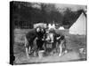Girls Camping 1930S-null-Stretched Canvas