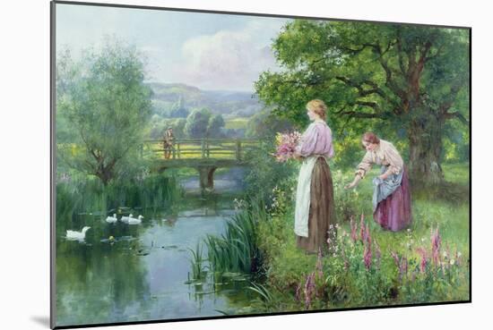 Girls Collecting Flowers-Henry John Yeend King-Mounted Giclee Print